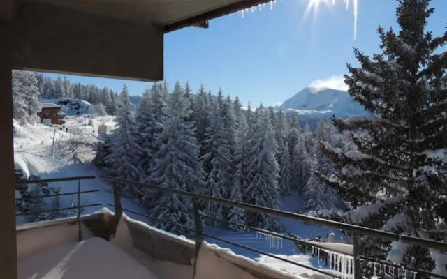Noemys L'Ecrin des Neiges