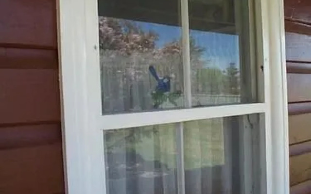 亚伦小屋(Aaron Cottage)