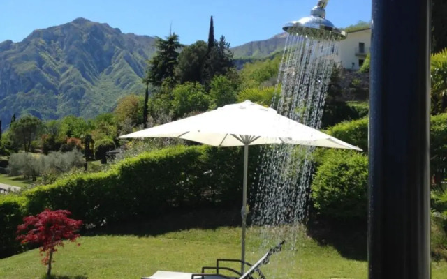 Verde E Panorama
