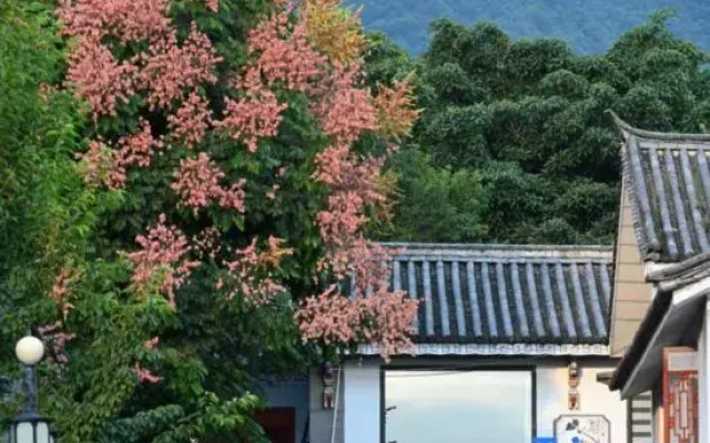 Dali Buru Garden Homestay (Ancient City South Gate)