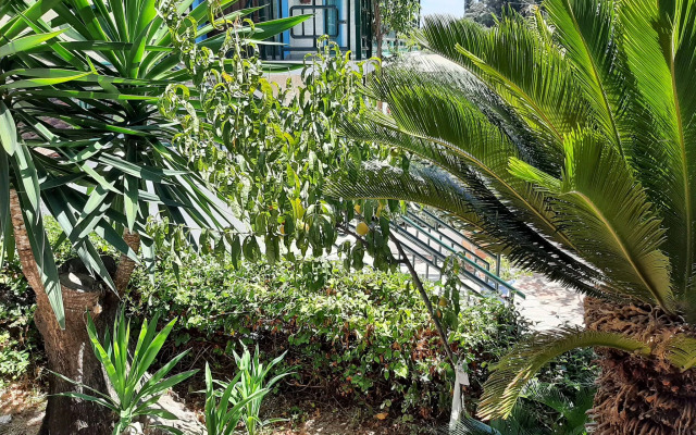 Snug Apartment in Mpenitses With Shared Pool