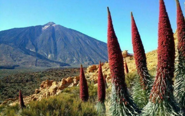 The Happiness Penthouse