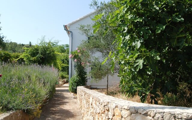 Detached House Miketa