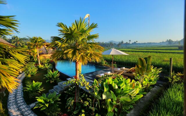 Padi Bali Eco Villas