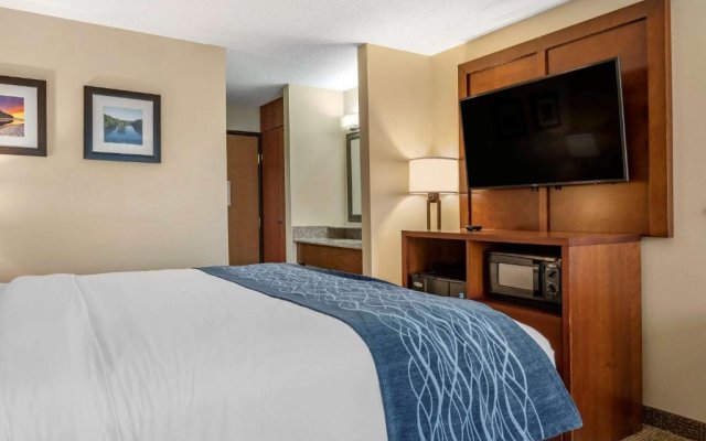 Comfort Inn & Suites Diamondale – Lansing