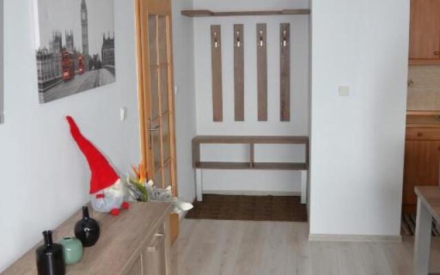 Šafrán, apartmán Dorothy 44,