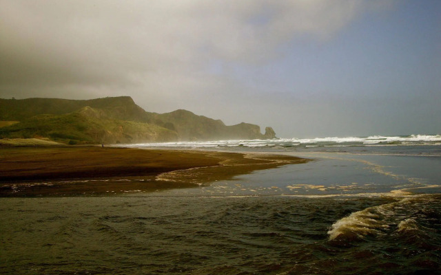 Bush Sand and Sea