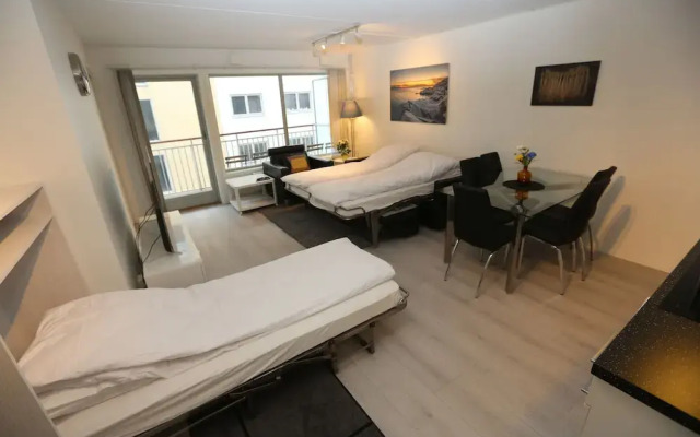 Sentral 3 roms top leilighet med gratis parkering