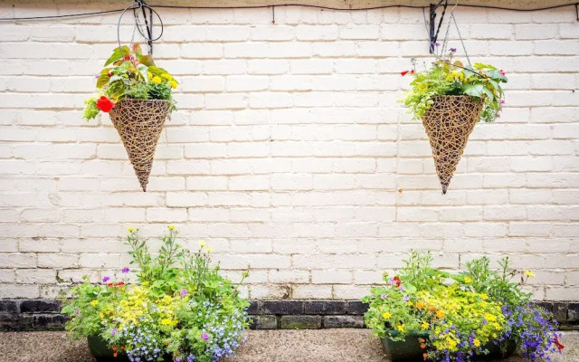 The Stratford Clinic