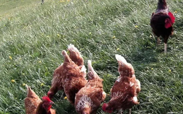 Haus Dreiländerblick