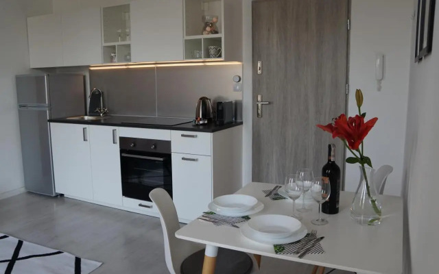 Apartament Gliwice Centrum Witkiewicza I