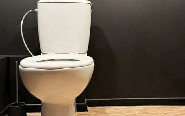 Династия на ул. Весны, 25