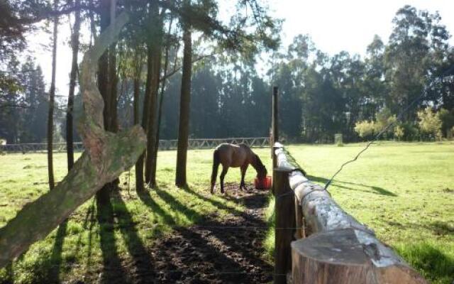 Hacienda la Carriona