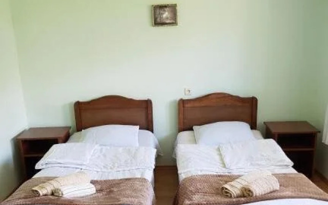 Tsitsia and Stepan Guest House