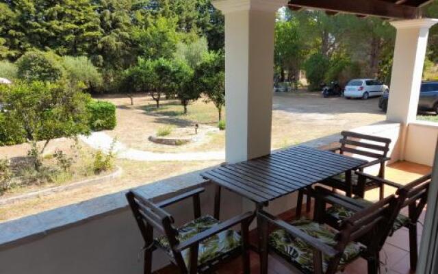 Lemontree Apartments