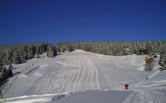 Rennsteighotel Grüner Baum