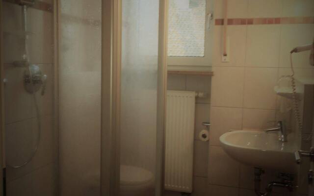 Gasthof-Pension Brauner Hirsch