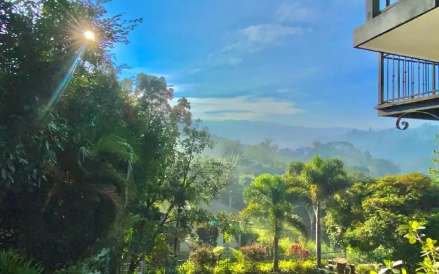 Villa Shungite