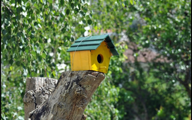 Apartments Bogdanovic