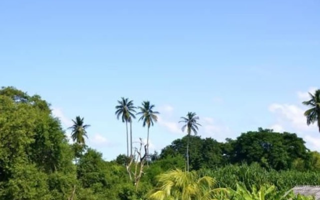 Casa Coral