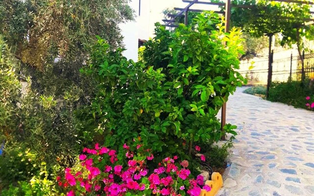 Villa Leonidas GreeceFiloxenia