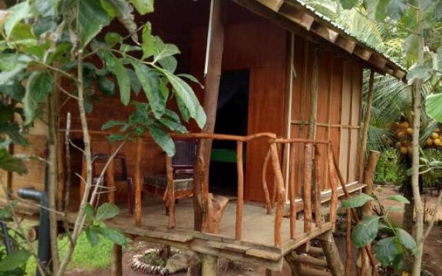 Sigiri Aliya Tree house