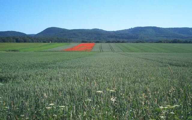 Ferienwohnung-Stricker-3-3