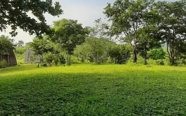 Vue grand hilltop