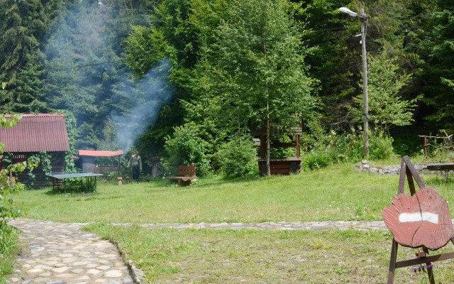 Zarinok