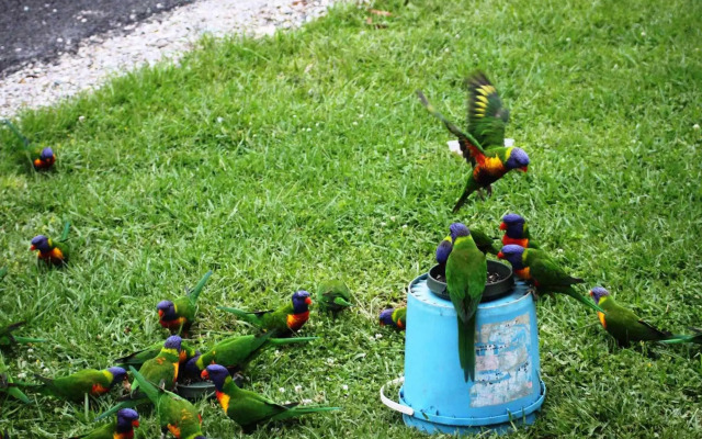 Greenwood Park Estate