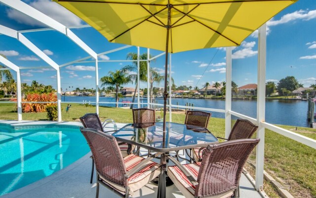 All About The Dolphins - Roelens Vacations