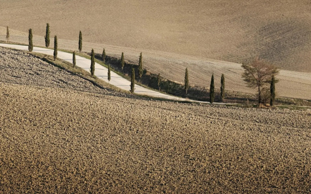 Villa Rombolino