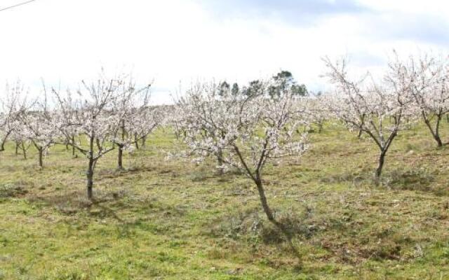 Alojamento Rural de Vales