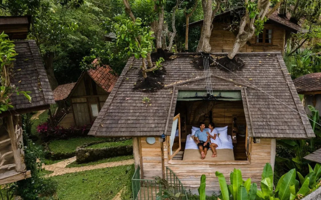 Roots Tree House