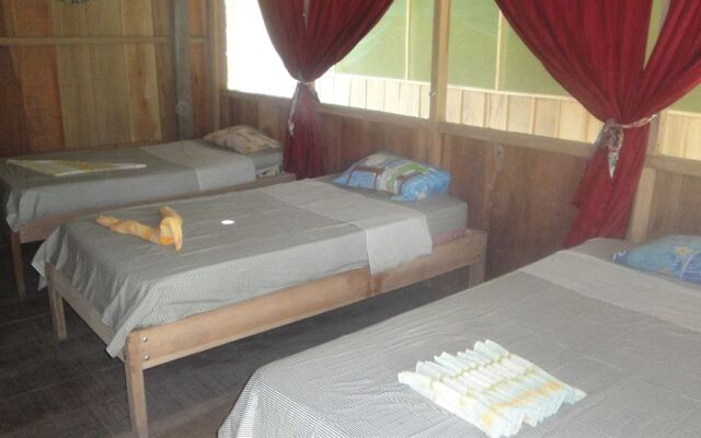 Amazon King Lodge