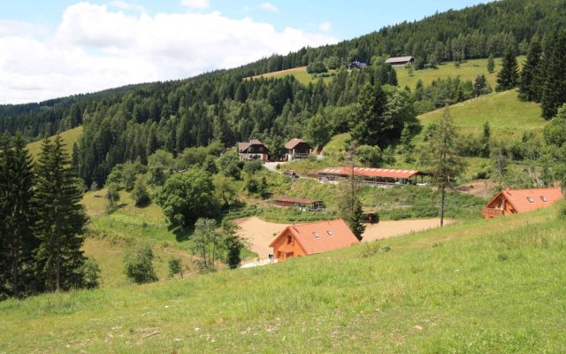 Chalet in Liebenfels Near ski Area