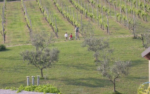 Arriga Alta