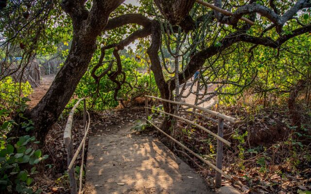 Banyan Tree Yoga