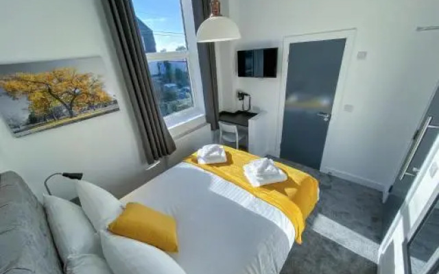 Paddington by Pureserviced