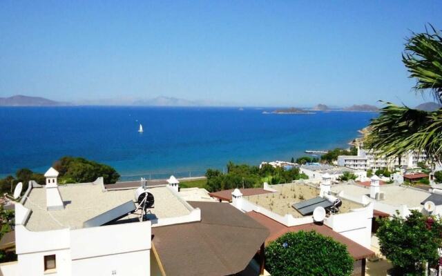 BO076 by Villaofsummer