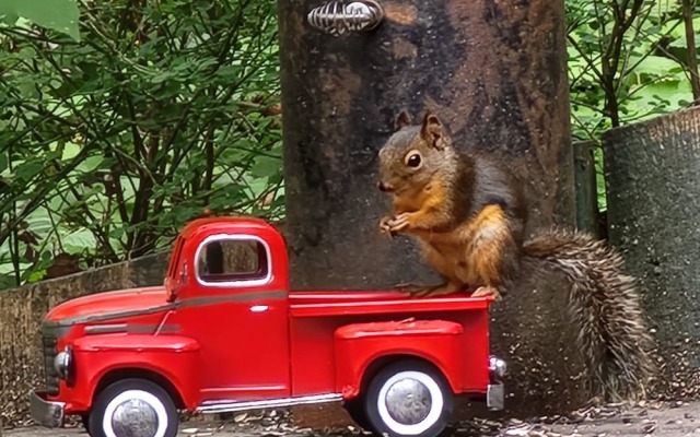 The Shed at Moon Dance