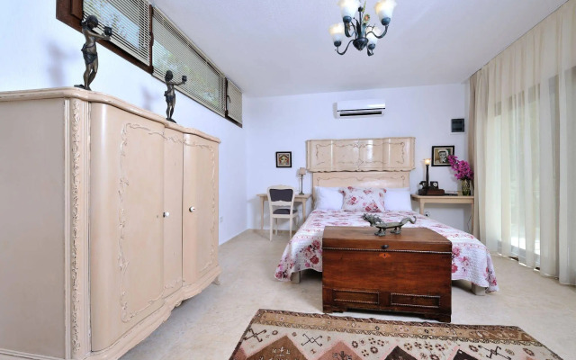 Pitahaya Home