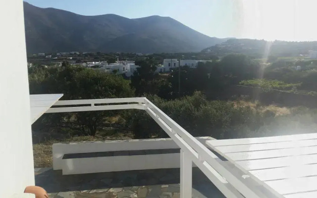 Sofia's Studios