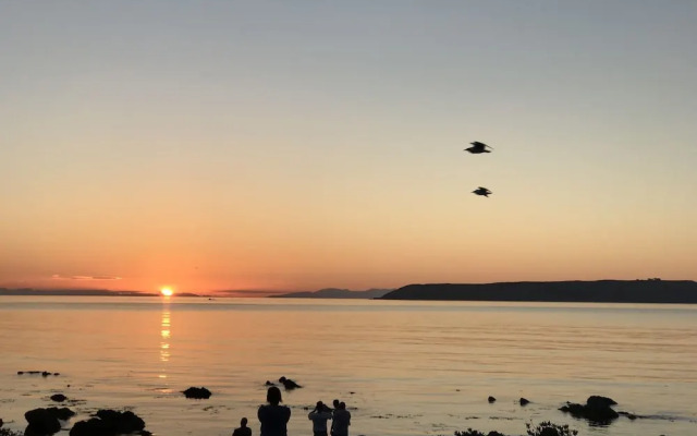 Wellington Beach Suite