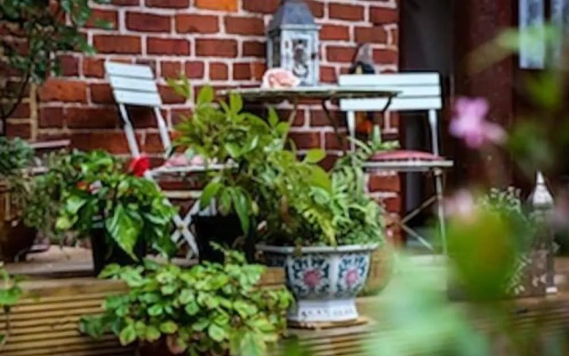 The Shepherd's Purse