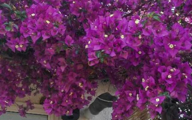 La collina sui trabocchi