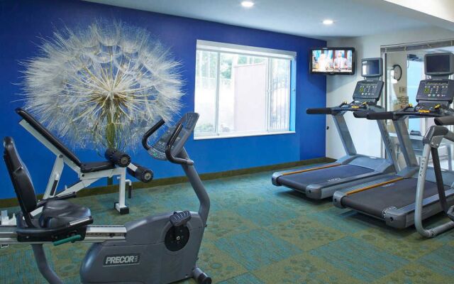 Springhill Suites Atlanta Six Flags