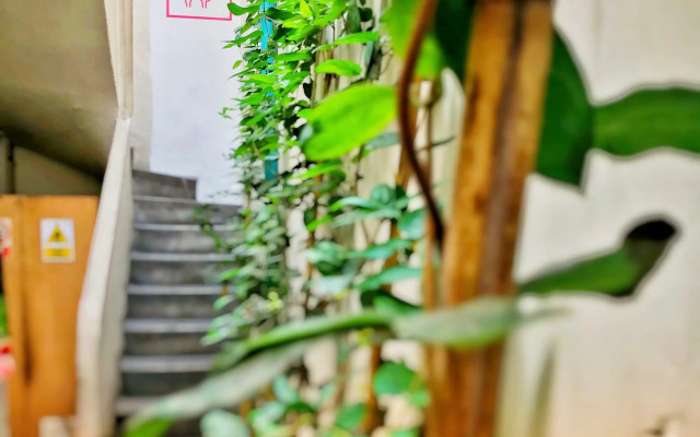 Red Llama Eco Hostel