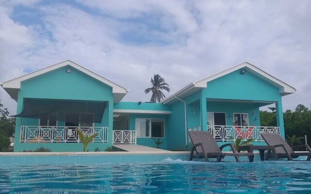 Blue Lizard House