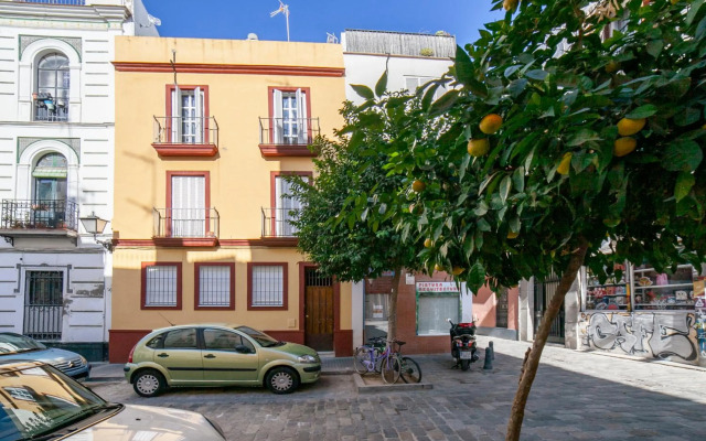 AlohaMundi Cruz Verde